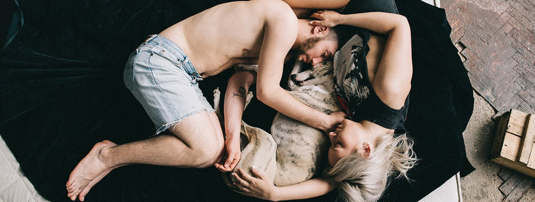 should i let my dog sleep with me?