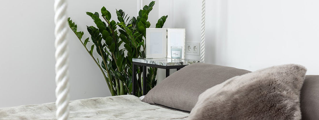 best plants for bedroom