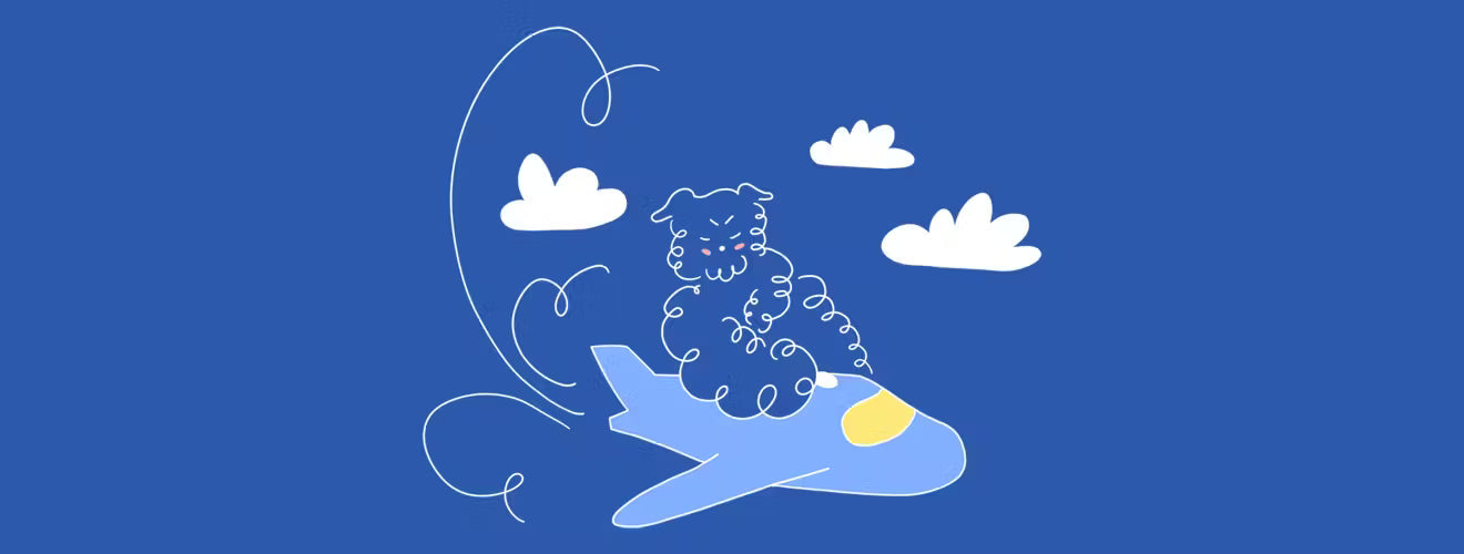 Travel Insomnia & The Holiday Season: Tips For Better Sleep